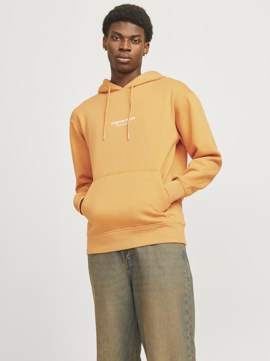Image du produit Jack & Jones Imprimé Sweat à capuche Sweat à capuche (S)
