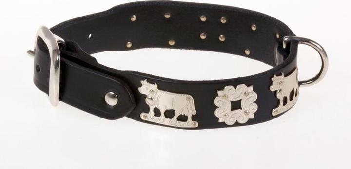 Produktbild Jenni Hemden Appenzellerhundehalsband (34, Hund, Spazieren)