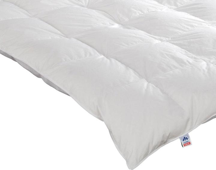 Actual product image Irisette Nora down cassette duvet extra warm (1180 g, 135 x 200 cm)