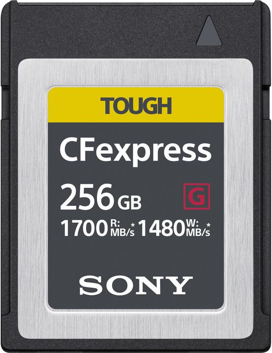 Sony CFexpress Dur à cuire (256 Go, CFexpress type B)