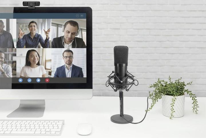 Image du produit Digitus Microphone à condensateur USB 1.5m 192kHz/24Bit