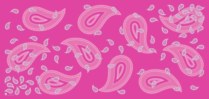Produktbild Industyle Design Glarnerdesign Mikrofaser Sporttuch / Strandtuch /Badetuch Paisley pink (160 x 75 cm)
