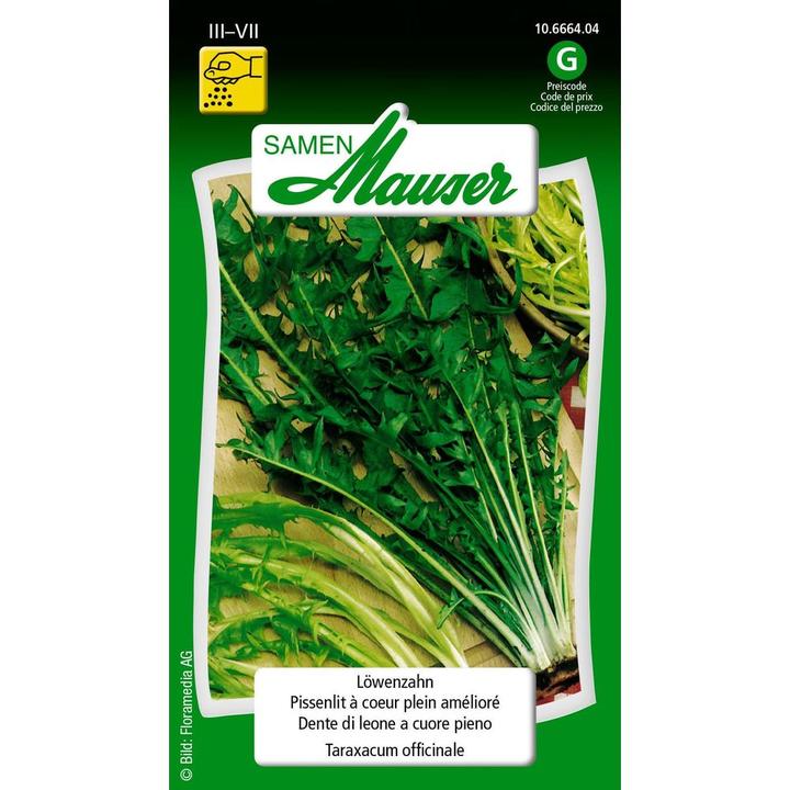 Actual product image Samen Mauser Dandelion (Vegetable seeds)