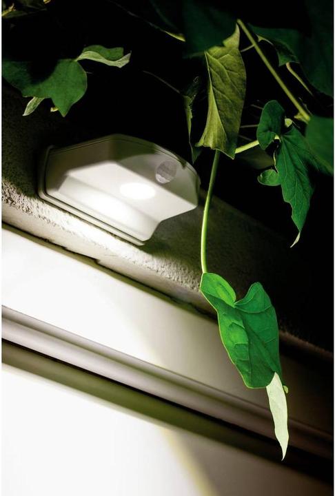 Image du produit Osram Door LED Down 4000K White