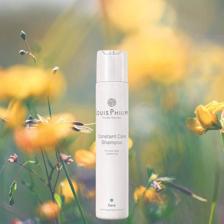 Actual product image Louis Philipp Constant Care Shampoo (60 ml, Liquid shampoo)