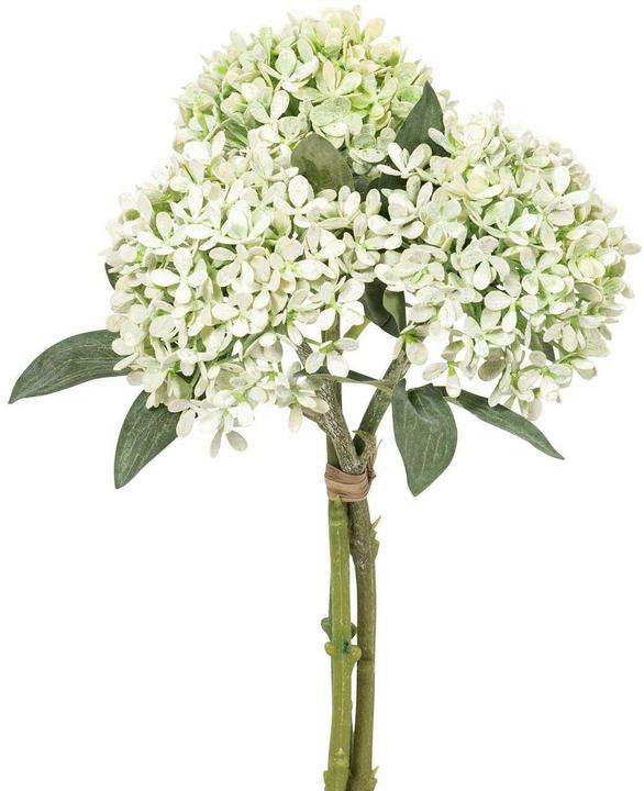 Botanic-Haus Schneeballbund Set (30 cm)