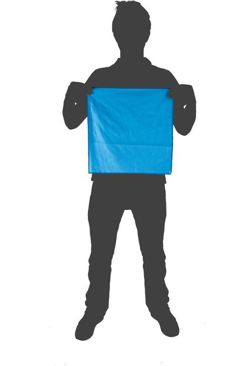 Immagine prodotto Lifeventure Asciugamano SoftFibre Advance Trek, blu, tascabile