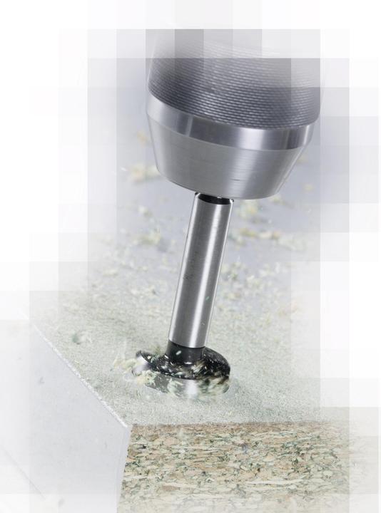 Actual product image Alpen MachinesForstner bit 3Surface shank SHARP SHARK (32 mm)