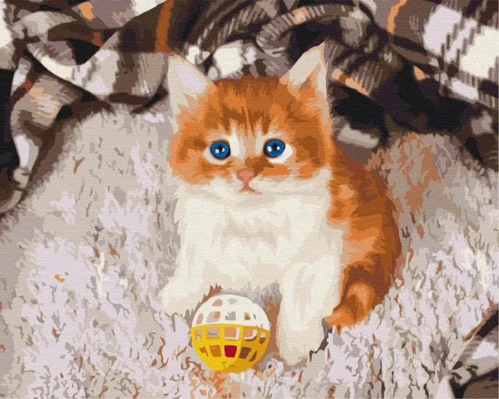 Syma Picture Paint it - Amused kitten