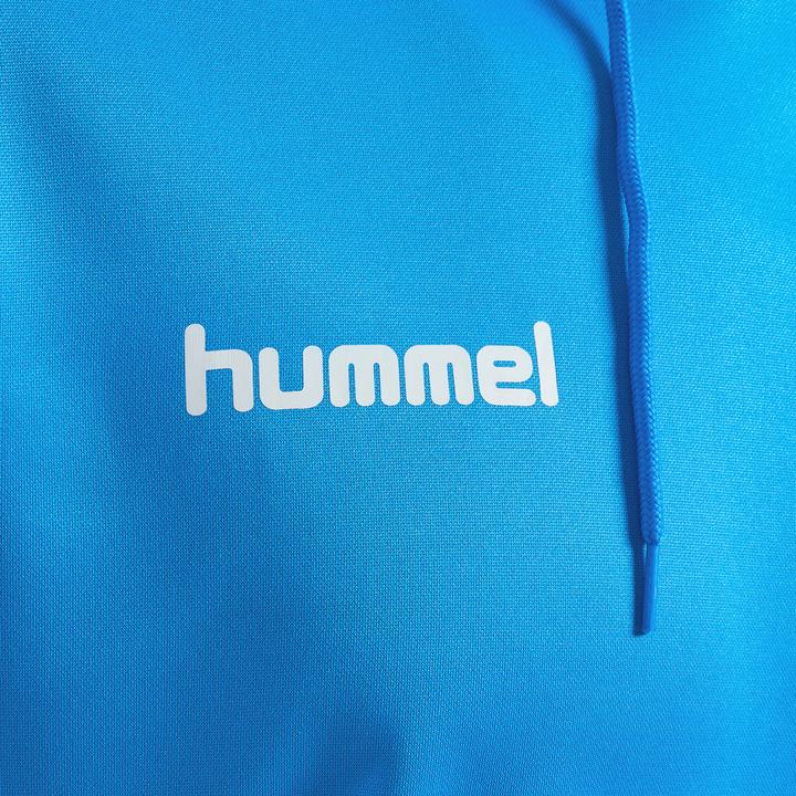 Immagine prodotto hummel Felpa Con Cappuccio In Polietilene Promozionale (L)