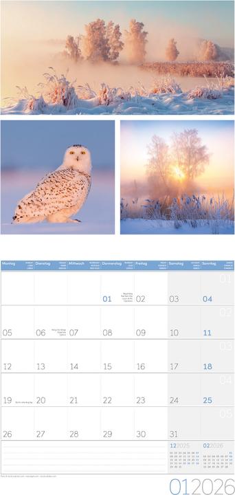 Produktbild Colours of Nature Kalender 2026 - 30x30 (30 x 30 cm, Harter Einband, Deutsch, Französisch, Englisch)