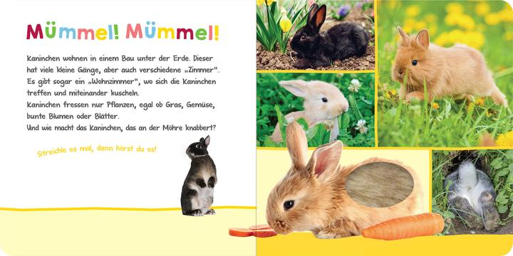 Produktbild Hör mal rein, wer kann das sein? - Im Frühling (Deutsch, 2021)