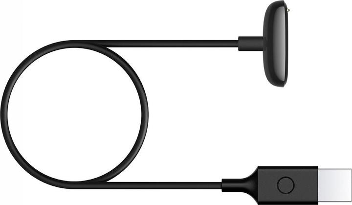 Actual product image Fitbit Charge 5 & Luxe Charging Cable