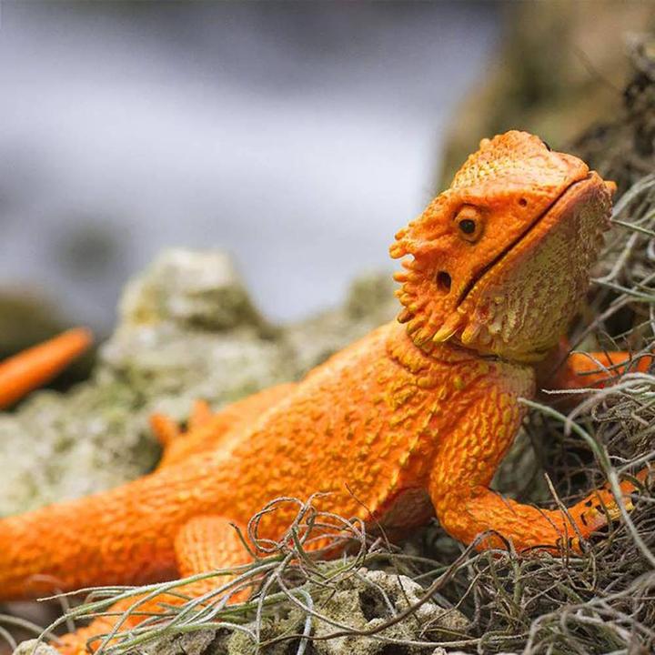 Produktbild Safari Ic Bartagame