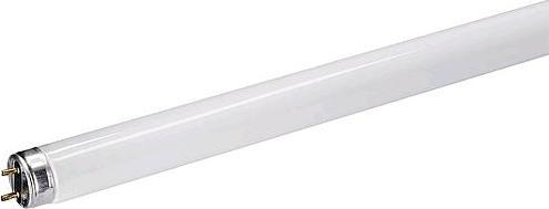 Actual product image Osram Lena (G13, 36 W, 3350 lm, 1 x, B)