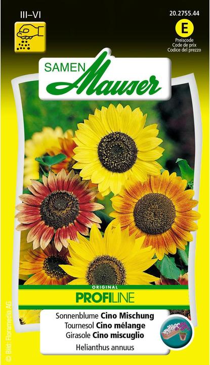 Tournesol Cino mélange (Graines de plantes)