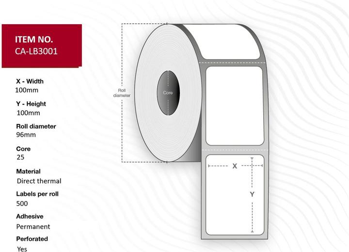 Actual product image Capture Label 100x100, Core 25