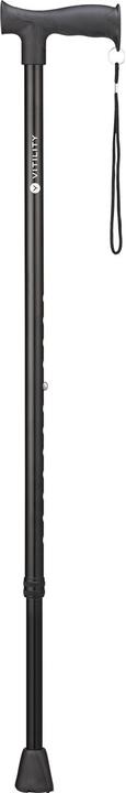 Vitility Walking stick