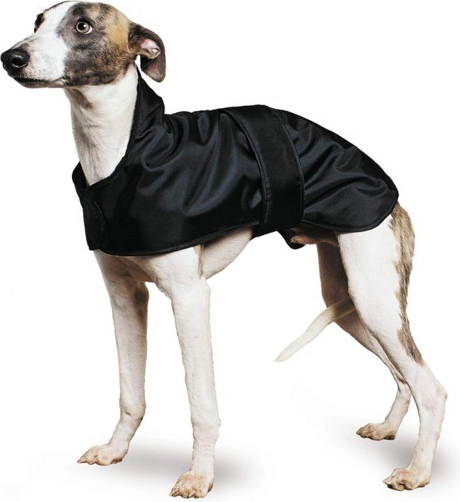 Image du produit Ancol Pet Products Muddy Paws Manteau pour whippet (70, Combinaison pour chien)
