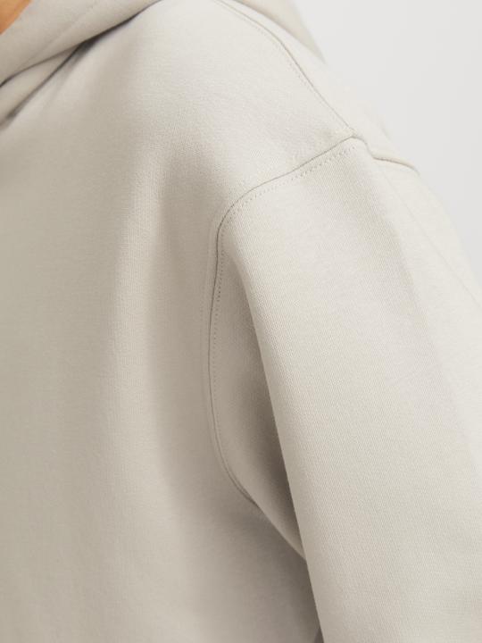 Image du produit Jack & Jones Jjestar Basic Sweat Hood Noos (XL)