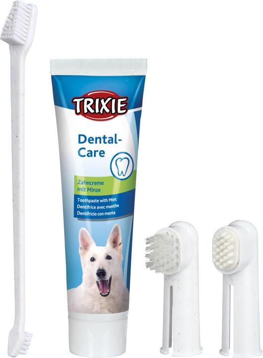 Actual product image Trixie Dental care set (Dog)