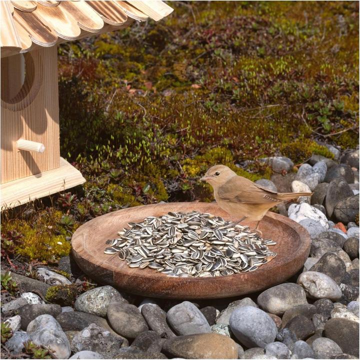 Produktbild Lyra Pet Sonnenblumenkerne gestreift (1 x, 25 kg)