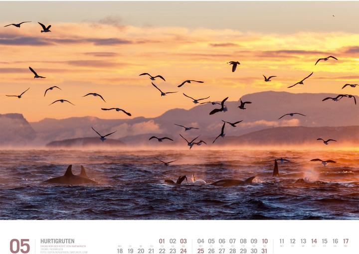Actual product image Hurtigruten - Unterwegs zwischen Bergen und Kirkenes Kalender 2026 (54 x 42 cm, Hardcover, German)
