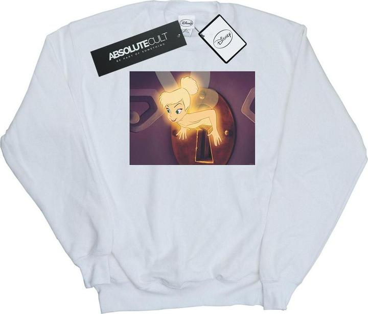 Disney Tinker Bell Lock Squeeze Sweatshirt (L)