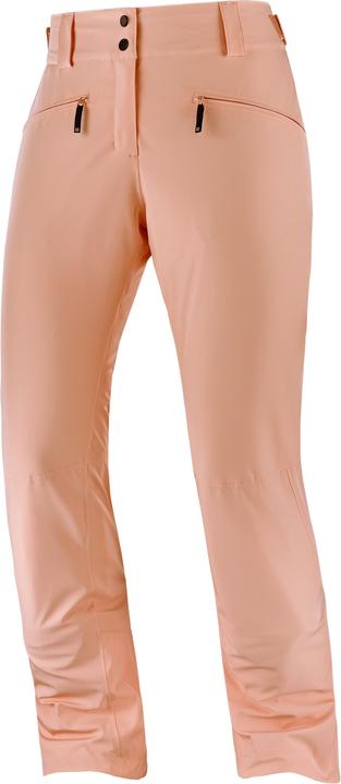 Salomon Edge (L)