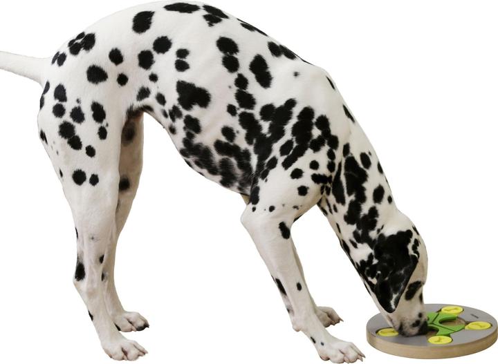 Produktbild Kerbl Denk- und Lernspielzeug EASY 28x15x2,7cm (Intelligenzspielzeug Hund)