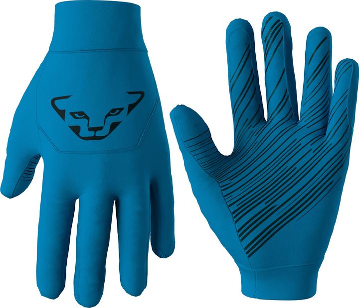 Produktbild Dynafit Upcycled Speed Handschuhe (L)