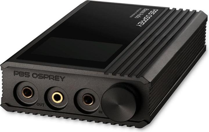 Produktbild iBasso PB5 Osprey (Gain-Schalter)