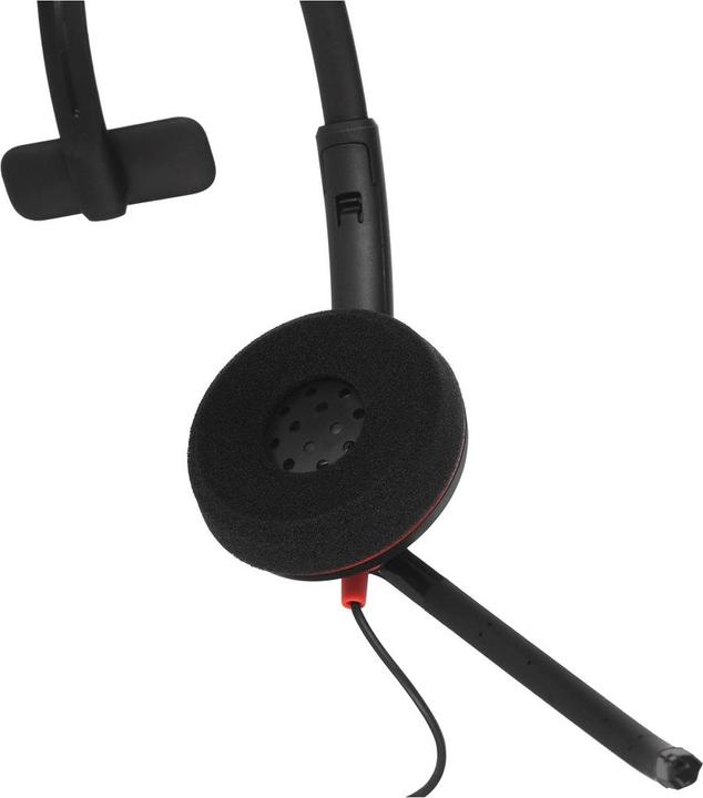 Actual product image Poly Blackwire C3210 USB-C (Cable, USB-C)