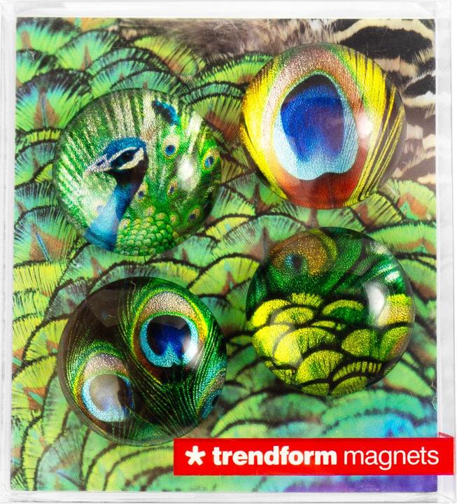 Produktbild Trendform Eye (4 x)