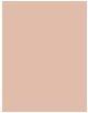Actual product image Sisley Phyto Complexion Nude No 1C (1C Petal)