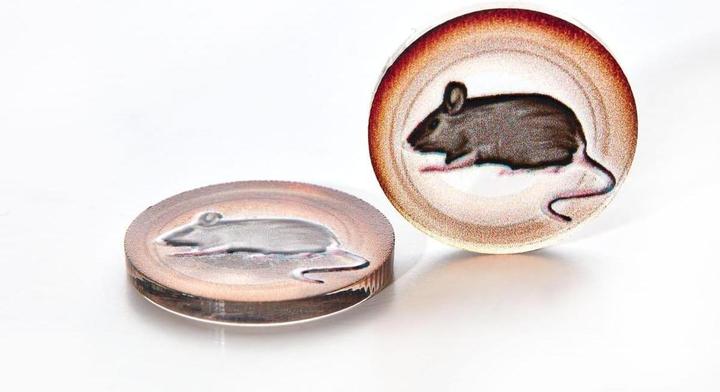 Actual product image E-Raptor Tokens and Markers: Wingbeat + Extensions Token Set (GB)