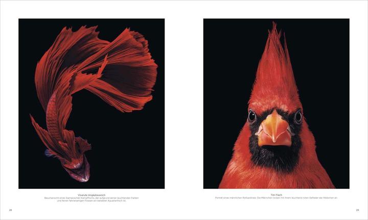 Produktbild National Geographic Verborgene Welten – Einzigartige Fotografien (Deutsch, Susen Truffel-Reiff, Anand Varma, 2023)