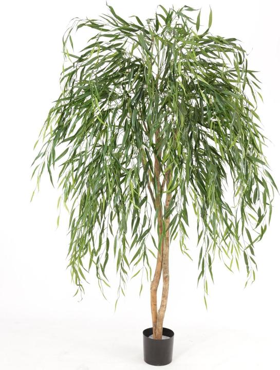 Actual product image ‎kunstpflanzen-discount.com Weeping willow (185 cm)
