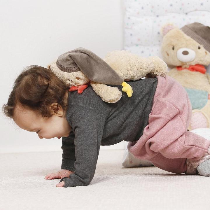 Produktbild Fehn Teddy (25 cm)