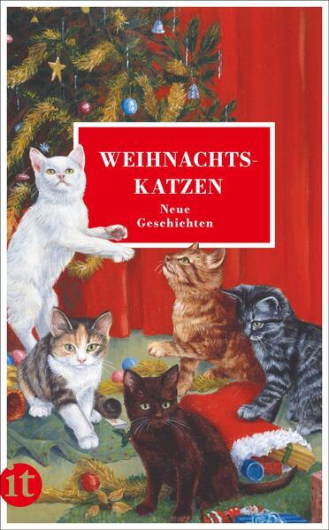 Produktbild Weihnachtskatzen (Deutsch, Gesine Dammel, 2021)