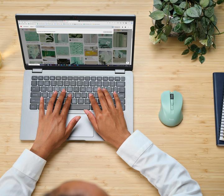 Image du produit Trust Mydo Silent Wireless Mouse Gree (Sans fil)
