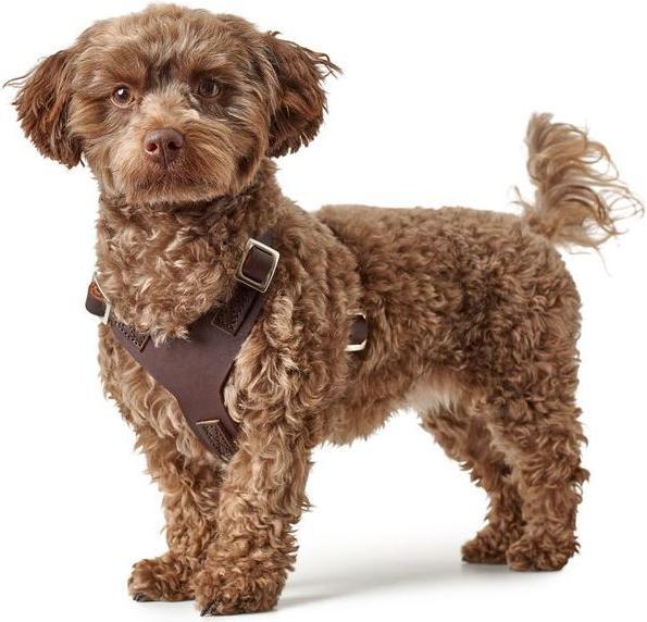 Actual product image Hunter Tableware Aalborg (XS, Dog, General)