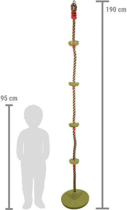 Actual product image small foot 2 in 1