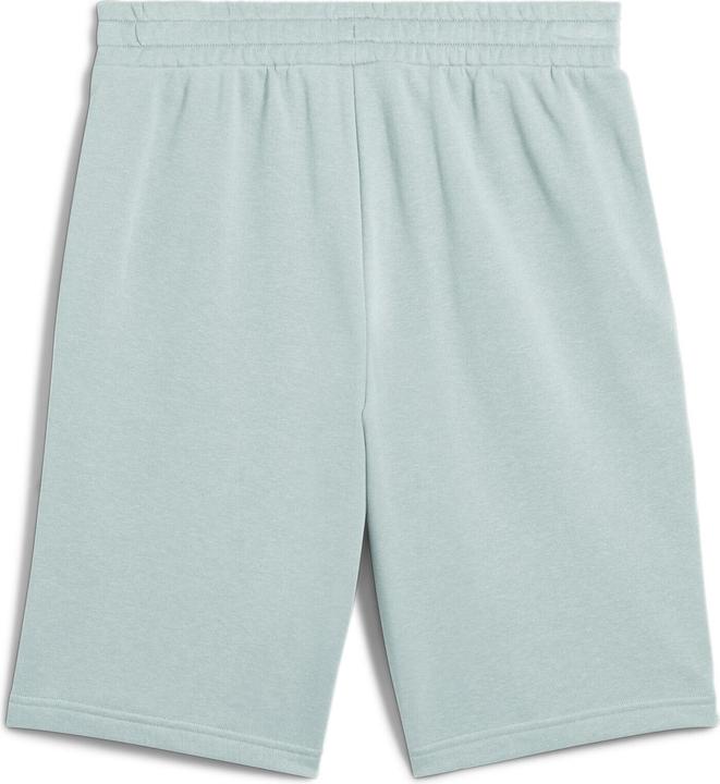 Actual product image Puma ESS 2 COLOR No. 1 Logo Shorts 10" TR (XL)