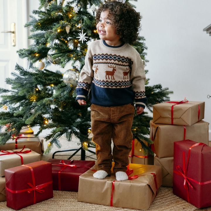 Actual product image Hust and Claire HCPelle jumper with reindeer (110)