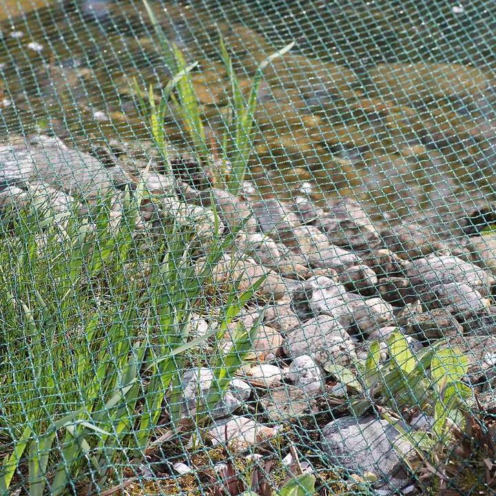 Actual product image Siena Garden Pond cover net
