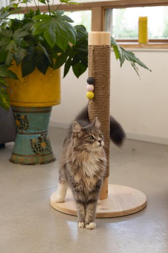 Actual product image Designed by Lotte Sinora (70 cm, Brown)