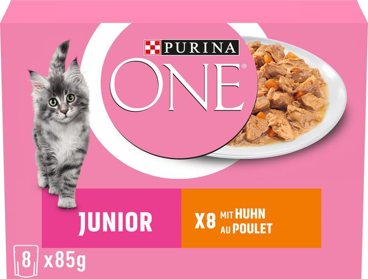 Purina ONE Junior (Junior, 8 pcs., 700 g)