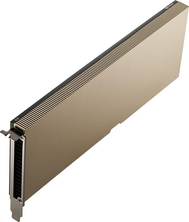 Produktbild PNY NVIDIA A10 MODULE 24GB (24 GB)