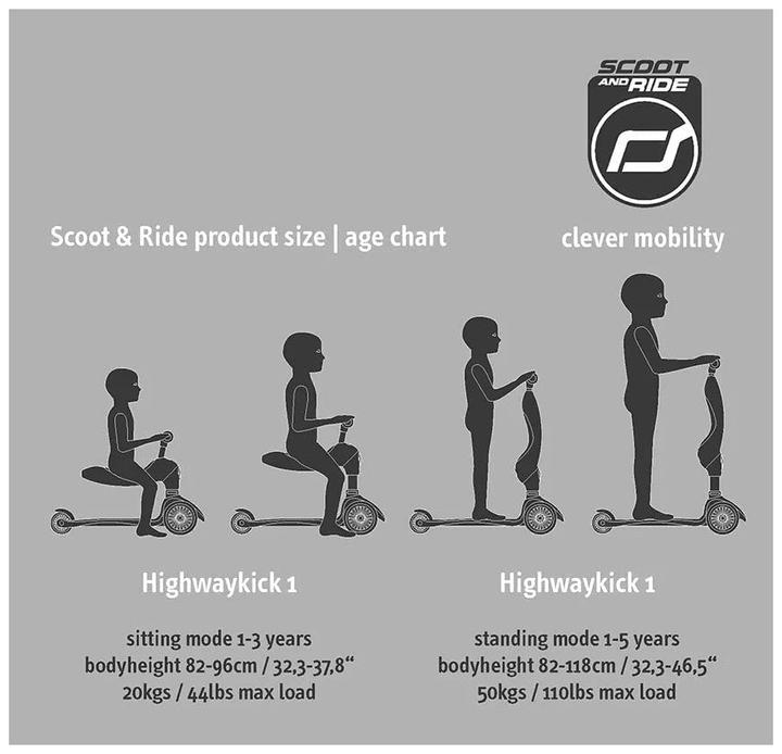 Actual product image Scoot and Ride Highwaykick